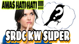 Download Lagu SRDC KW SUPER , HATI HATI !!! #birds #burung #srdcgacor #SRDC #srdckwsuper MP3
