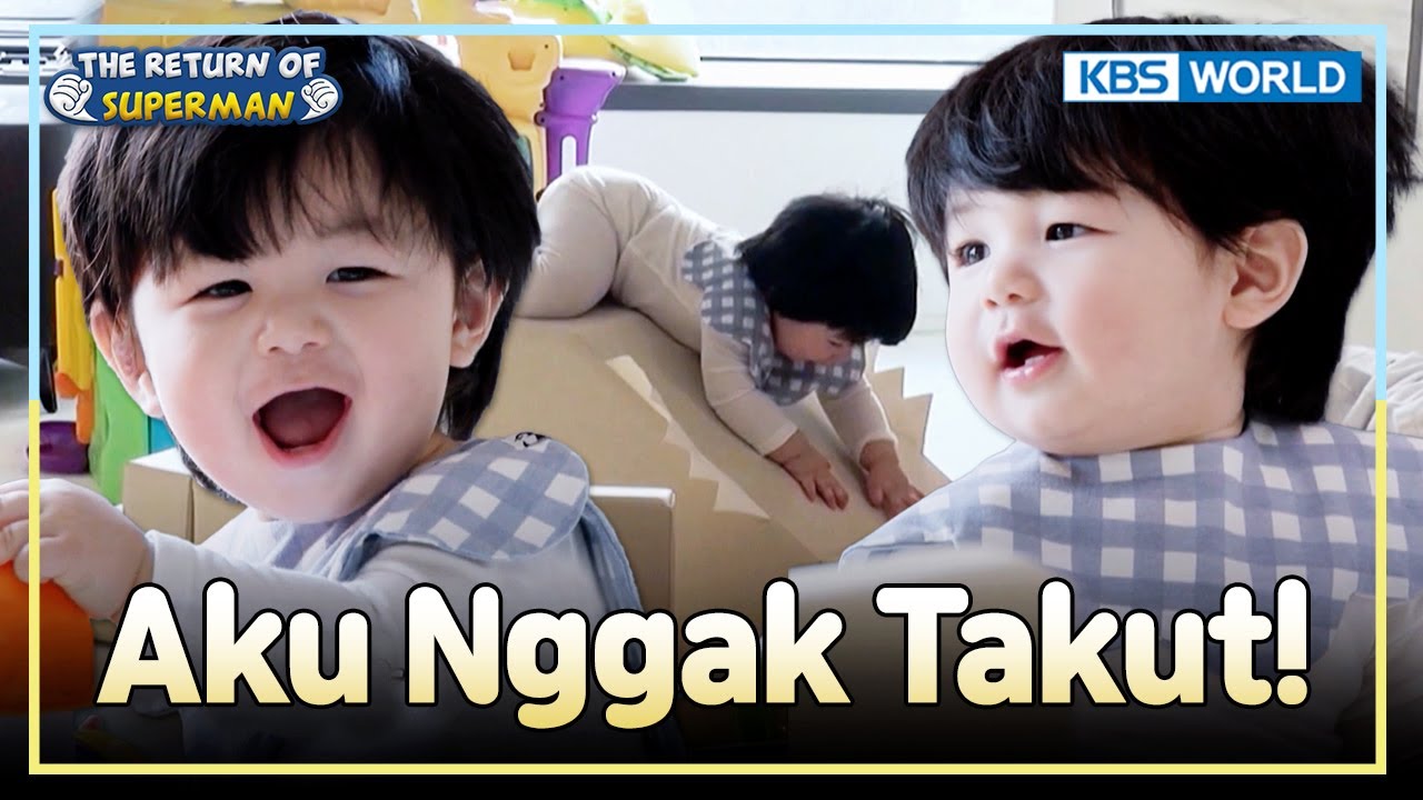 Haru Berani Tantang Tangga & Perosotan 😳 | The Return of Superman [IND/ENG] | KBS WORLD TV 260125