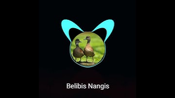 Belibis Nangis