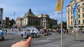 Look At This Rock 345