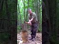 Genius technique to split logs first try #shorts#smart#survival #facts#dailydoseofdata#nature