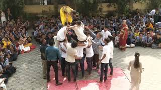 Janmashtami celebration in School | Krishna 🙏 #janmashtami -कृष्ण जन्माष्टमी मटकी फोड़ | Part-3