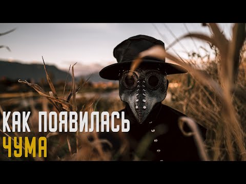 Чёрная смерть | Чума | История самой страшной эпидемии