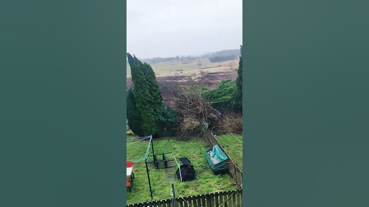 Storm Eowyn,Whispers of chaos⛈️🍃🌨️Backyardview#eowyn#scotland#subscribe