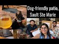 Dog-friendly patio, Sault Ste Marie | Ontario Reopening | Patio season