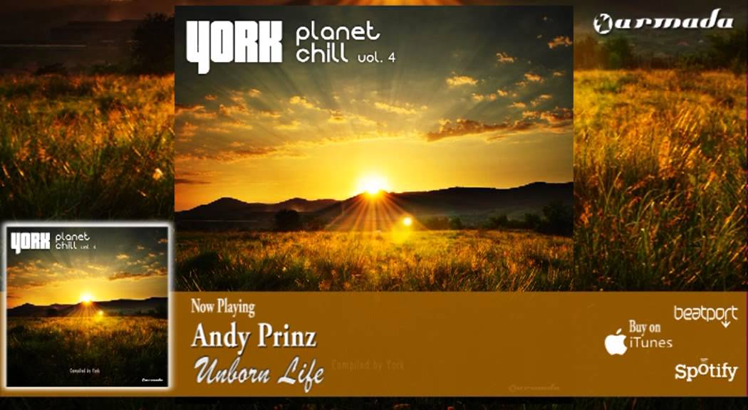 Andy Prinz - Unborn Life