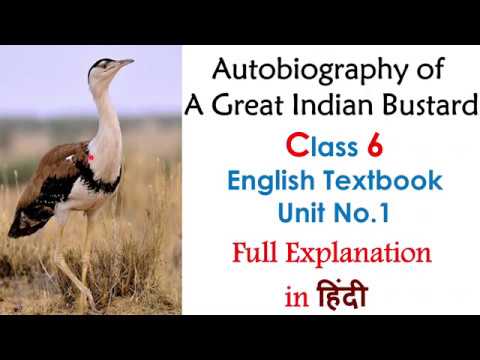 indian bustard essay in hindi