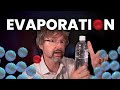 Evaporation Dynamics and Thermodynamics Explained