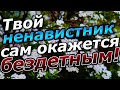 Твой ненавистник сам окажется бездетным.