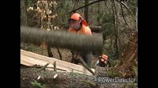 Les Risques En Chablis