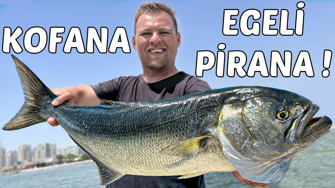 DEV KOFANA İLE ADRENALİN DOLU DAKİKALAR! SIRTI TEKNİĞİ İLE LÜFER AVI NASIL YAPILIR?