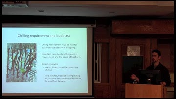 Variation in winter survival mechanisms of wild and cultivated grapevine