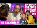 Смотрим смешные видео и СМЕЁМСЯ! НЕ НЕЗАСМЕЙСЯ ЧЕЛЛЕНДЖ | Мамина подборка #21/2 - НЕВОШЕДШЕЕ!