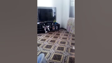 Quadcopter test multiwii se v2.5(3)