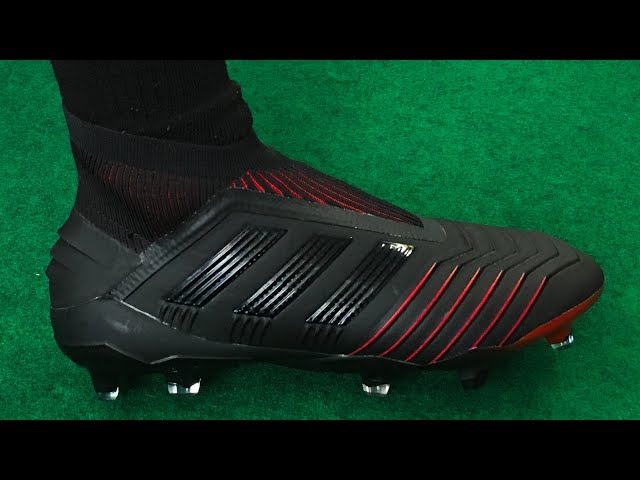 adidas predator archetic