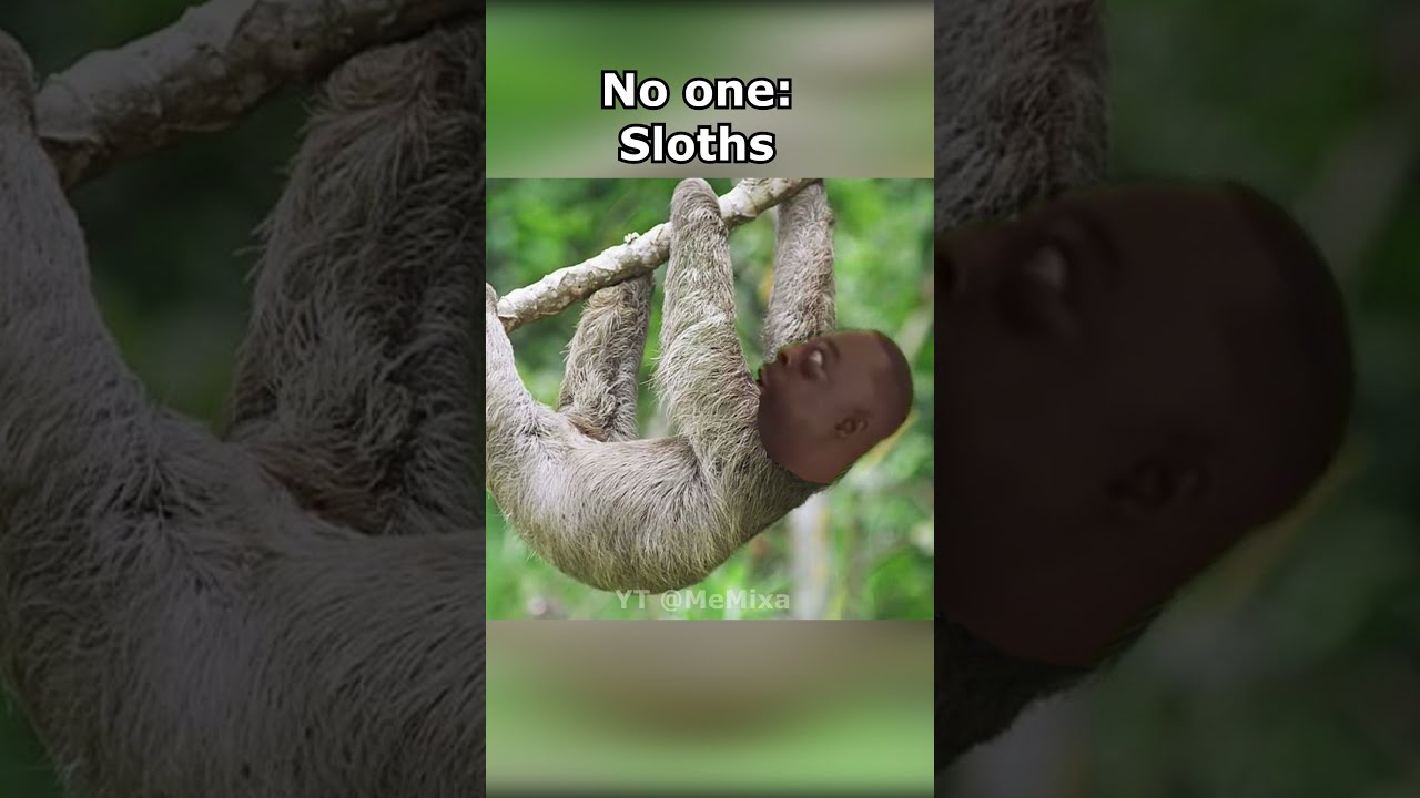 Beetlejuice Just Hanging Around Sloth Memes Funny