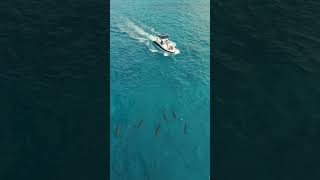 Only Your Drone Would See This 🤯