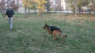 Deco Noster Amicus-16 month's old-ball play2