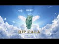 RIP CALA 🕊️ (I Go Meow Cat)