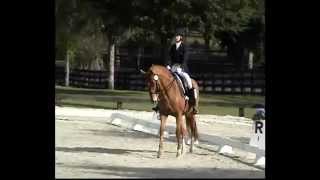 Judged Prix St. George dressage test