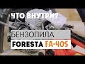 Бензопила Foresta FA-40S. Что внутри?