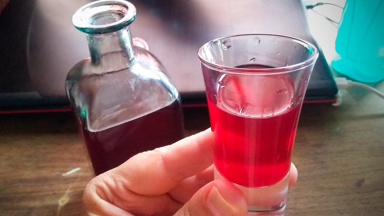 Licor de Hibiscus, una planta con propiedades medicinales increíbles!