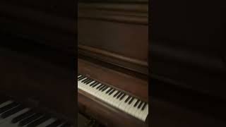 My Player Piano Collection