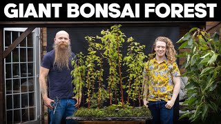 How To Make A Giant Bonsai Forest 🌳 *EASY*