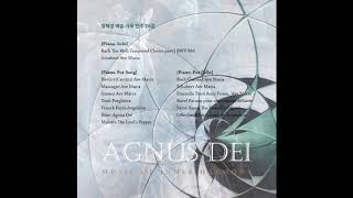 Ave Maria, d 839 Franz Schubert - piano