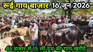 रूई गाय बाजार ll 16 जून 2026 l rui pashu mandi l rui gay bajar ll 45 हजार में 12 ली दूध की गाय खरीदे