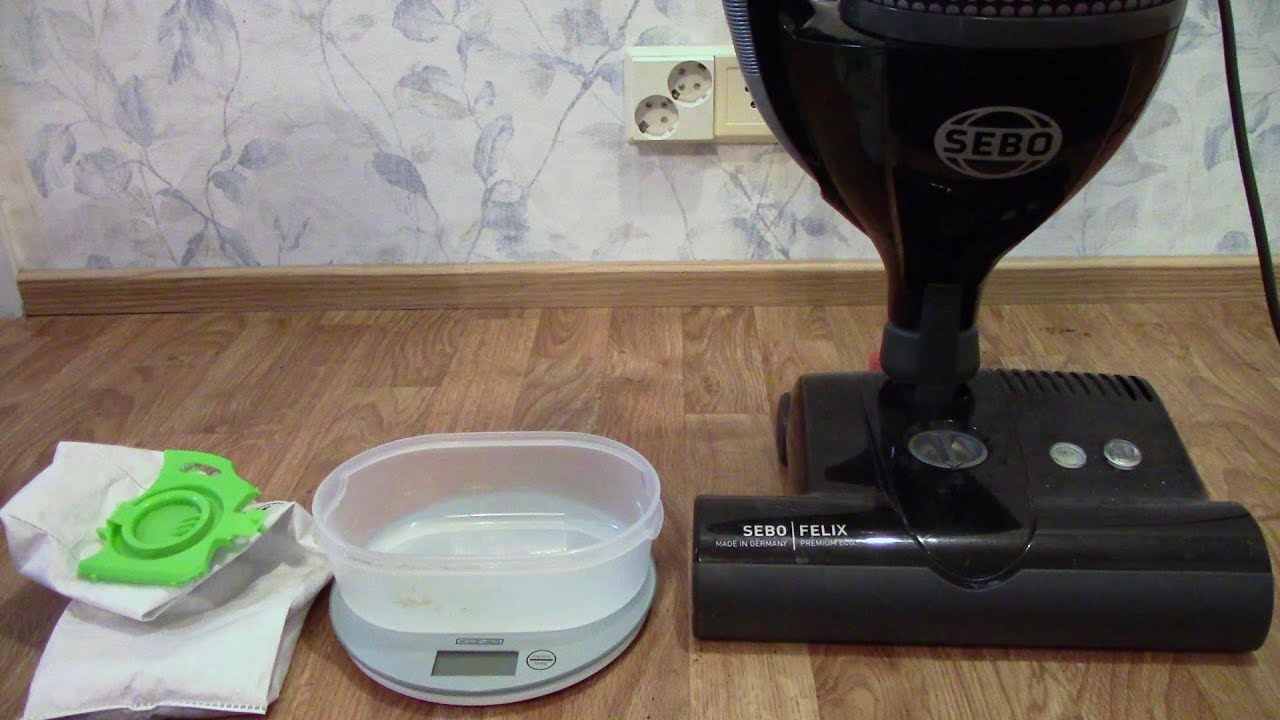 Sebo Rug Sebo Felix Weighed Big Rug Cleaning - YouTube