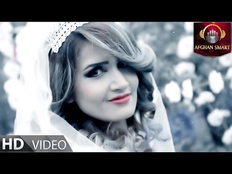 Hashem Tanin Shiren Yaar OFFICIAL VIDEO