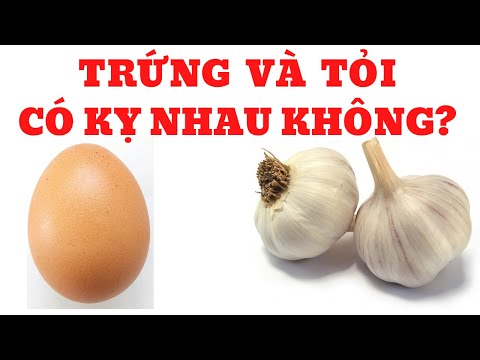 Video: Tôi Có Cần Rửa Trứng Gà Không