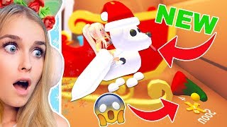 NEW SANTA DOG And Finding SECRET HIDDEN CLUES In Adopt Me! (Roblox)