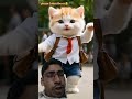 Cute Dance Cutecat Bili Bala Dance
