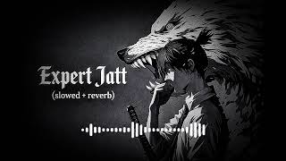 Expert jatt song / mista baaj / #viral #song #slowed 