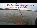 Рыбалка в Астрахани. Ловля воблы (день 1)