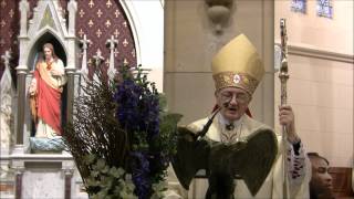 Bishop Gerard Hanna's Homily at the Wagga Wagga Catholic Men's Conference.wmv