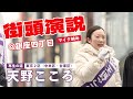 天野こころ街頭演説＜マイク納め＞＠銀座四丁目