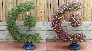 Garden of the globe blooms  the idea of ​​greening the earth with flowers Portulaca (Mossrose)