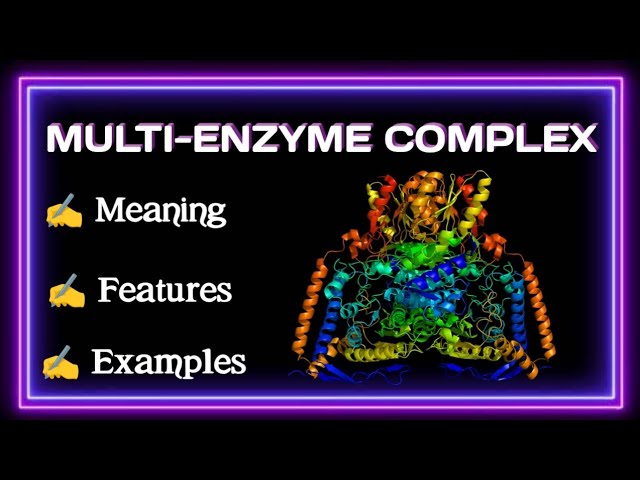 MULTI-ENZYME COMPLEX || WELL EXPLAINED