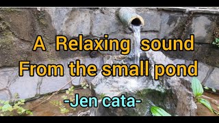 A relaxing sound from the pond by Jen Cata 283 views 1 year ago 2 minutes, 10 seconds