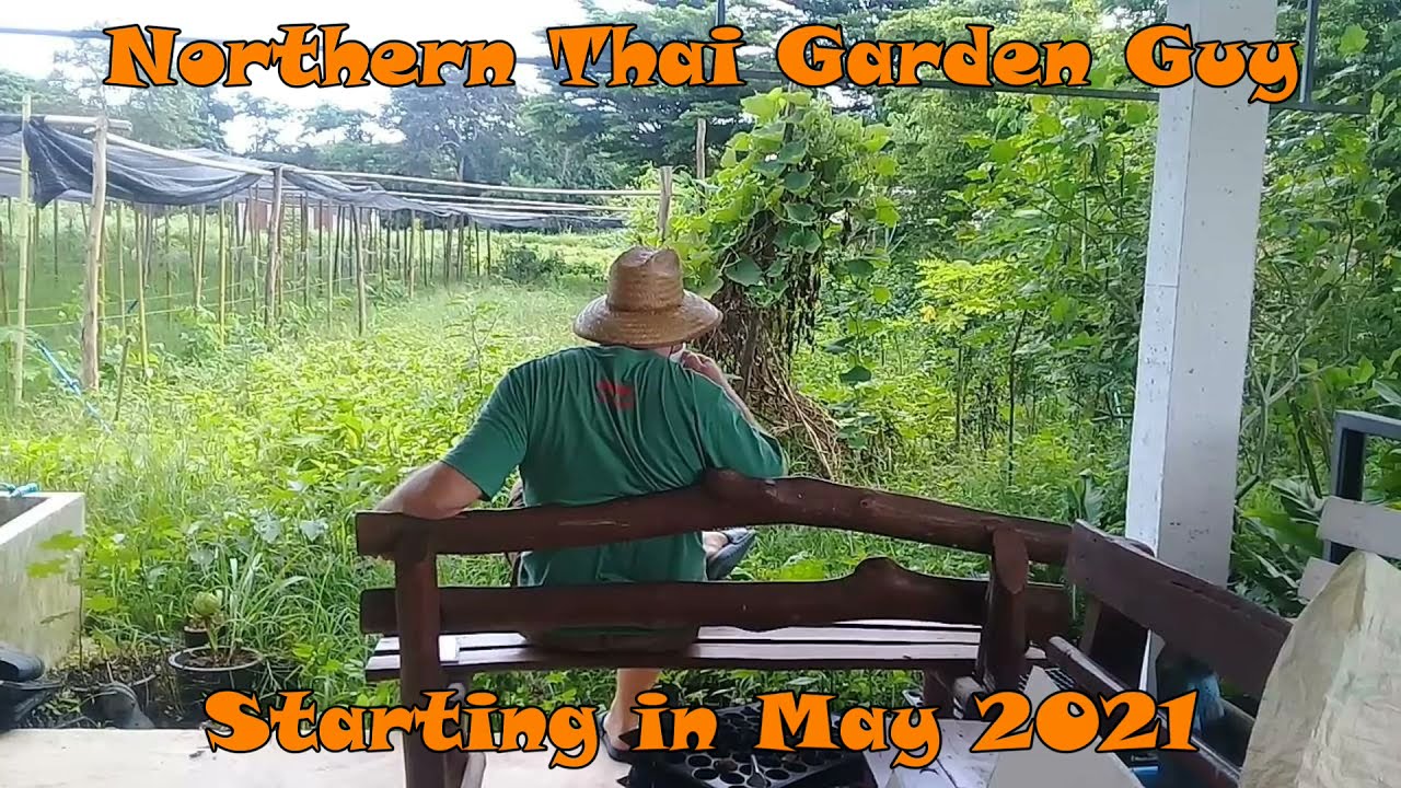 Oh no...another gardening channel. Northern Thai Garden Guy.