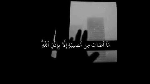 قرآن | فارس عباد حالات واتس اب | سورة المائدة