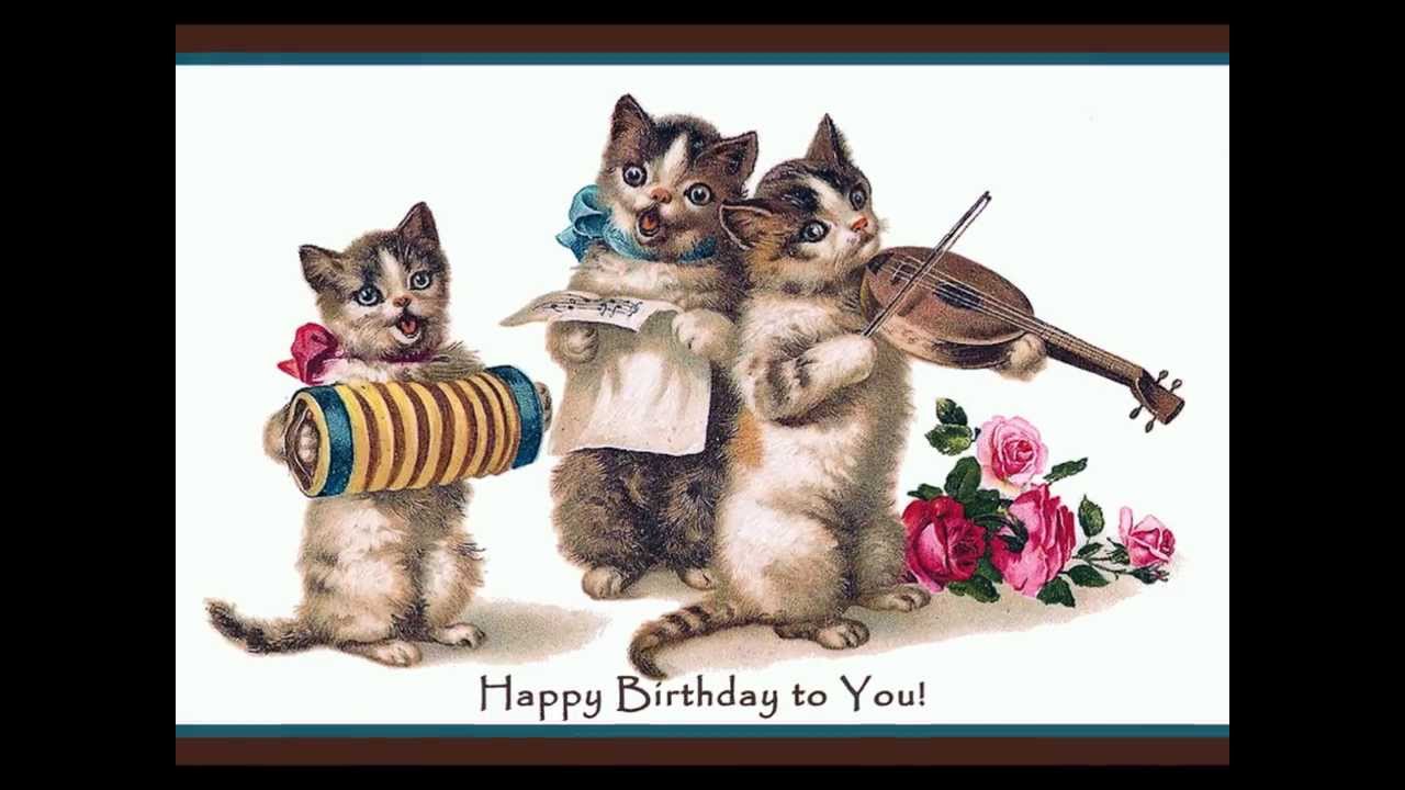 Happy Birthday Youtube Funny Cats Happy Birthday Youtube Funny Cats