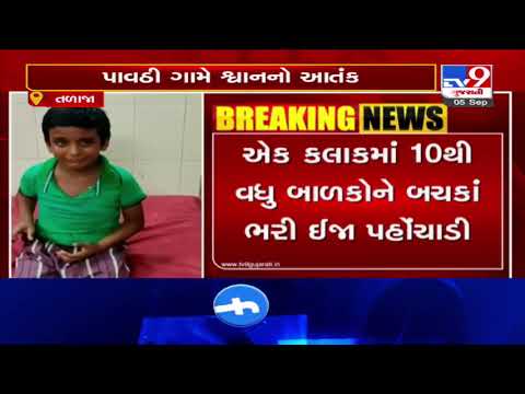 Stray dog attacks kids in Talaja, Bhavnagar | Tv9GujaratiNews