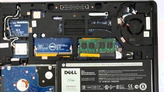 Dell E5250 – Latitude 12 5000 12.5" Touchscreen LED Notebook – Intel Core i5 i5-4310U Dual-core (2 Core) 2 GHz – Black Reviews Dell Latitude 12 5000 - E5250