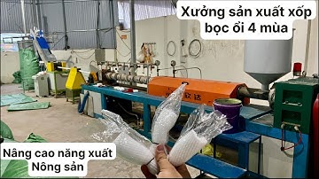 Xốp bọc ổi 4 mùa tiện lợi, giá tại xưởng sản xuất, phòng ngừa sâu bệnh hại trái 0869593886 #xopbocoi