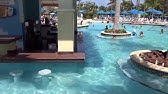 Fun Activities at De Palm Island Aruba 