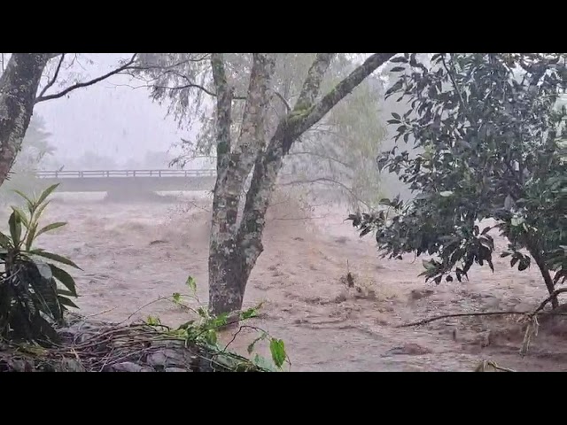 Loading video